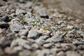 Gravel texture. pebble stones texture. Bottom view of a dirt gravel road. Pebble stone background. Light grey closeup small rocks. Royalty Free Stock Photo